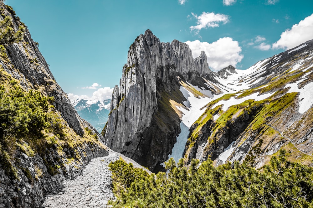 a view of a mountain with a trail going through it