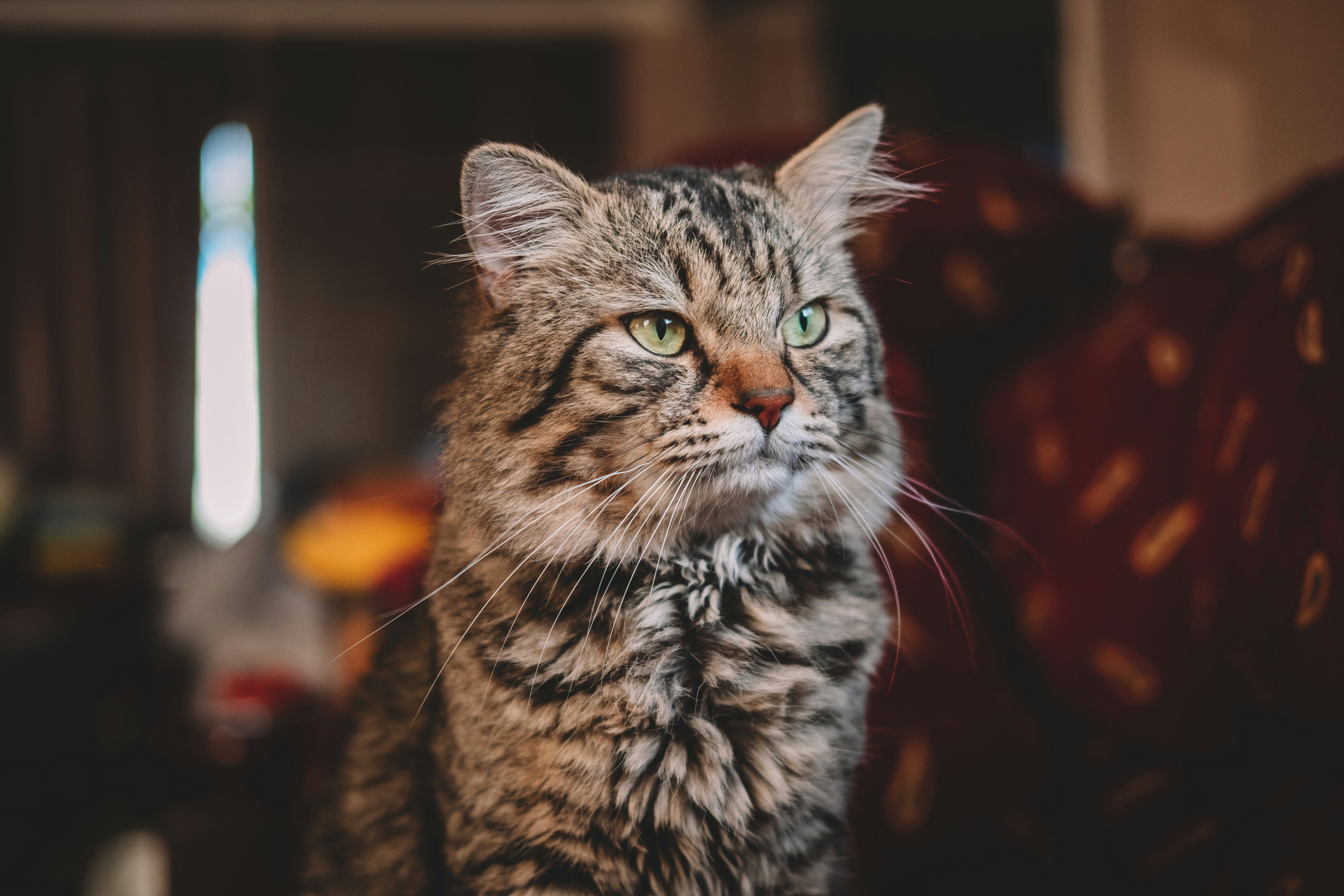 Photo by photographeks