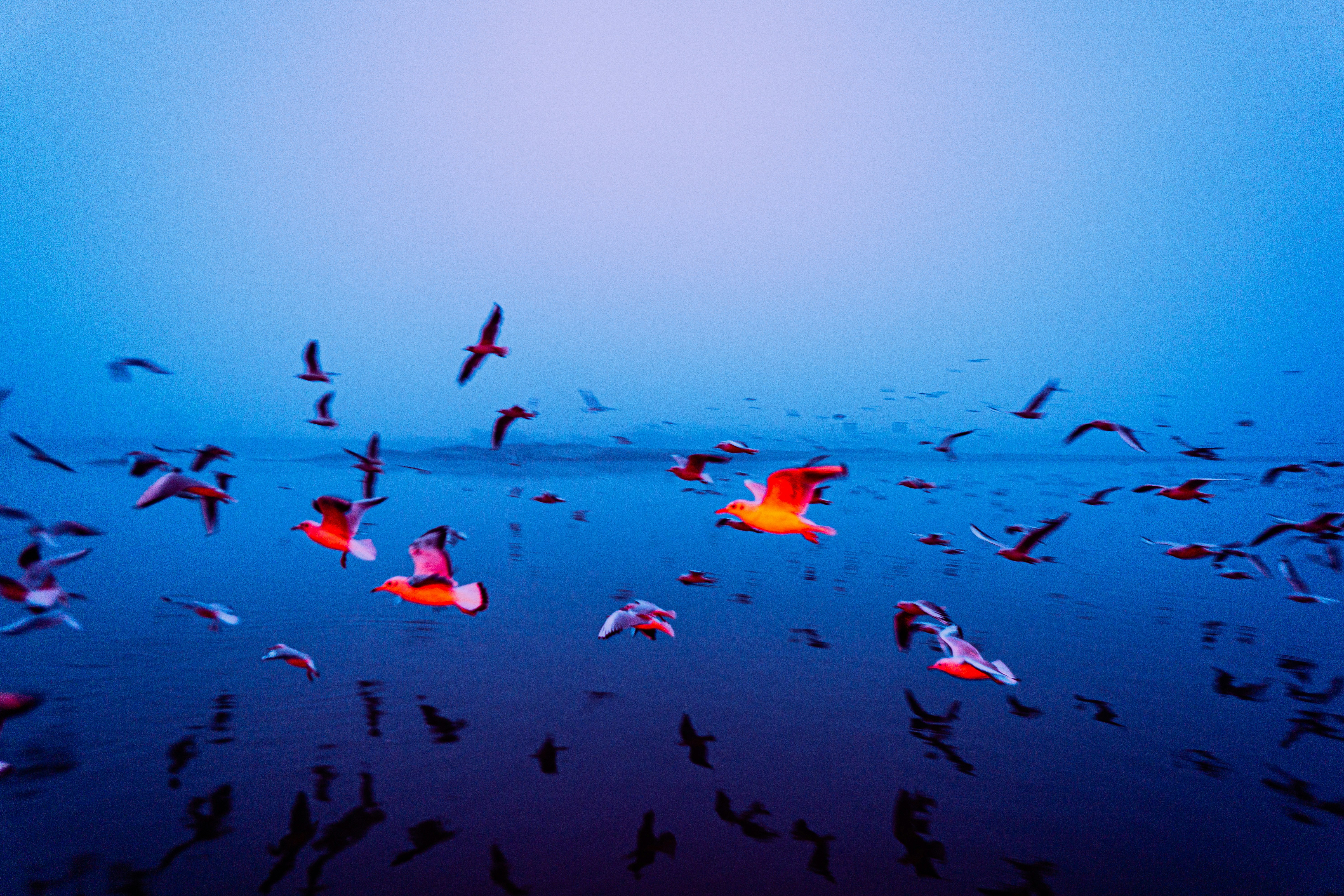 Building a small ISP: a thought experiment