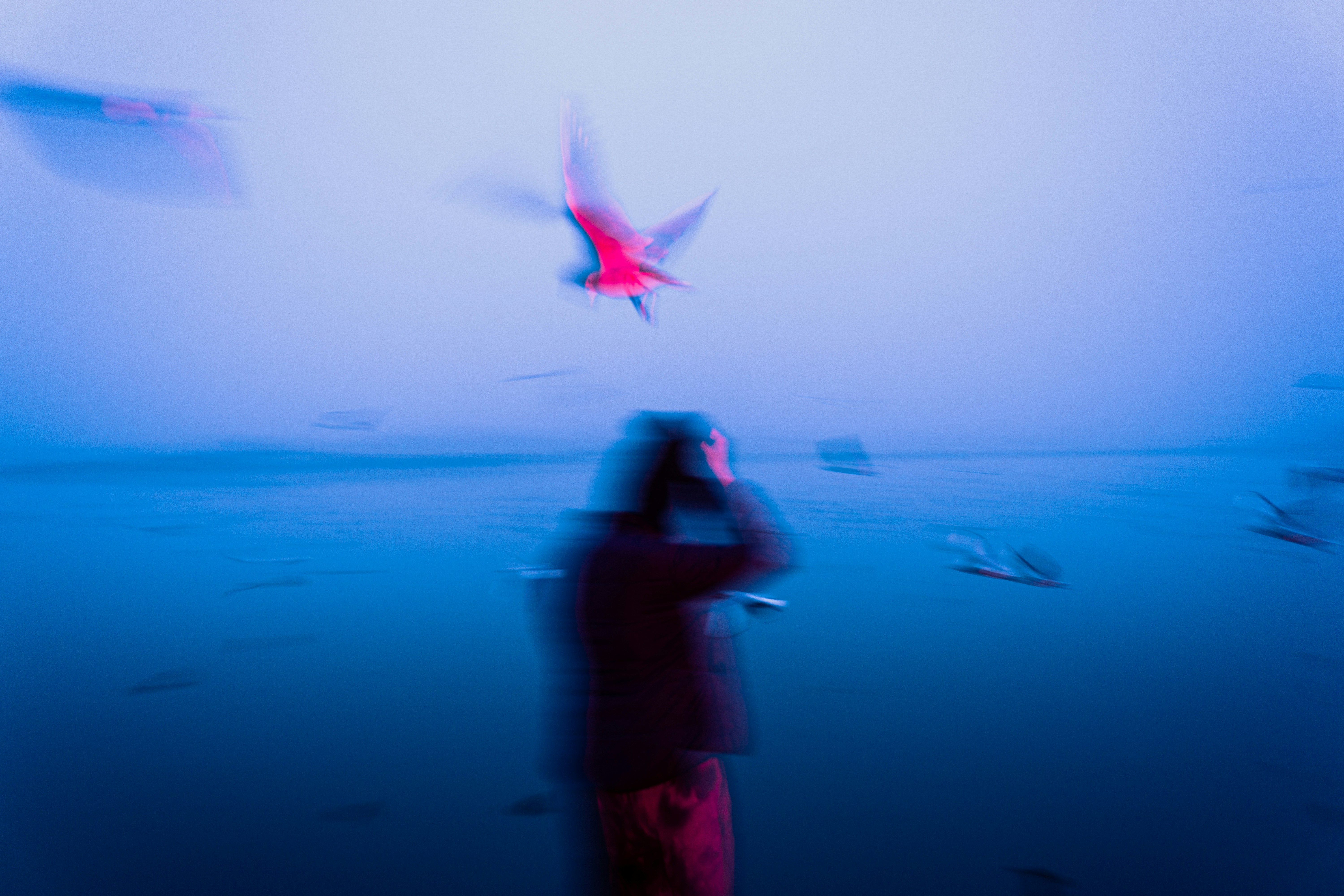 波澜起伏的 | 九月记