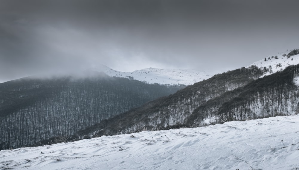 a black and white photo of a snowy mountain