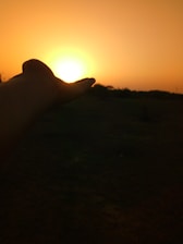 An open palm with glowing astrological symbols floating above it.