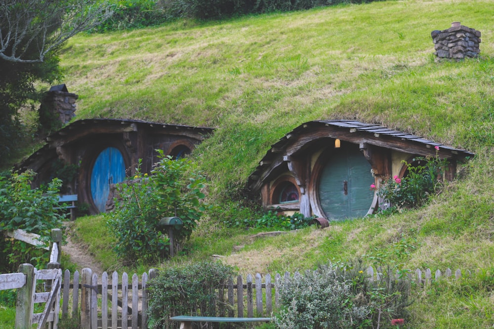 a hobbot house with a green door and grass roof
