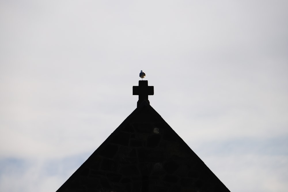 un petit oiseau assis au sommet d’un bâtiment