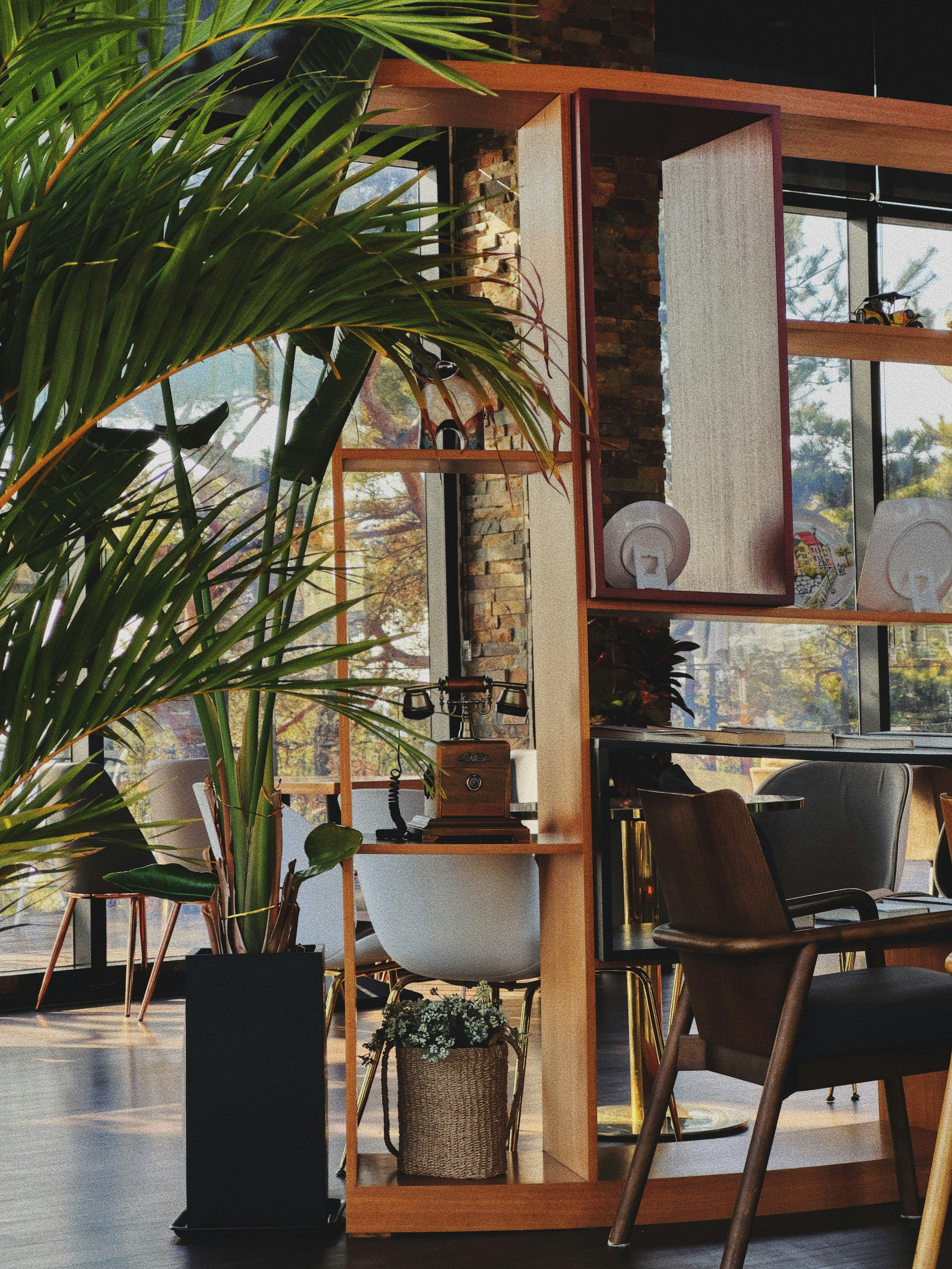 Photo by chillytooth