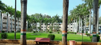 Green campus area of Promoción Social de Cartagena with trees and plants promoting environmental awareness.