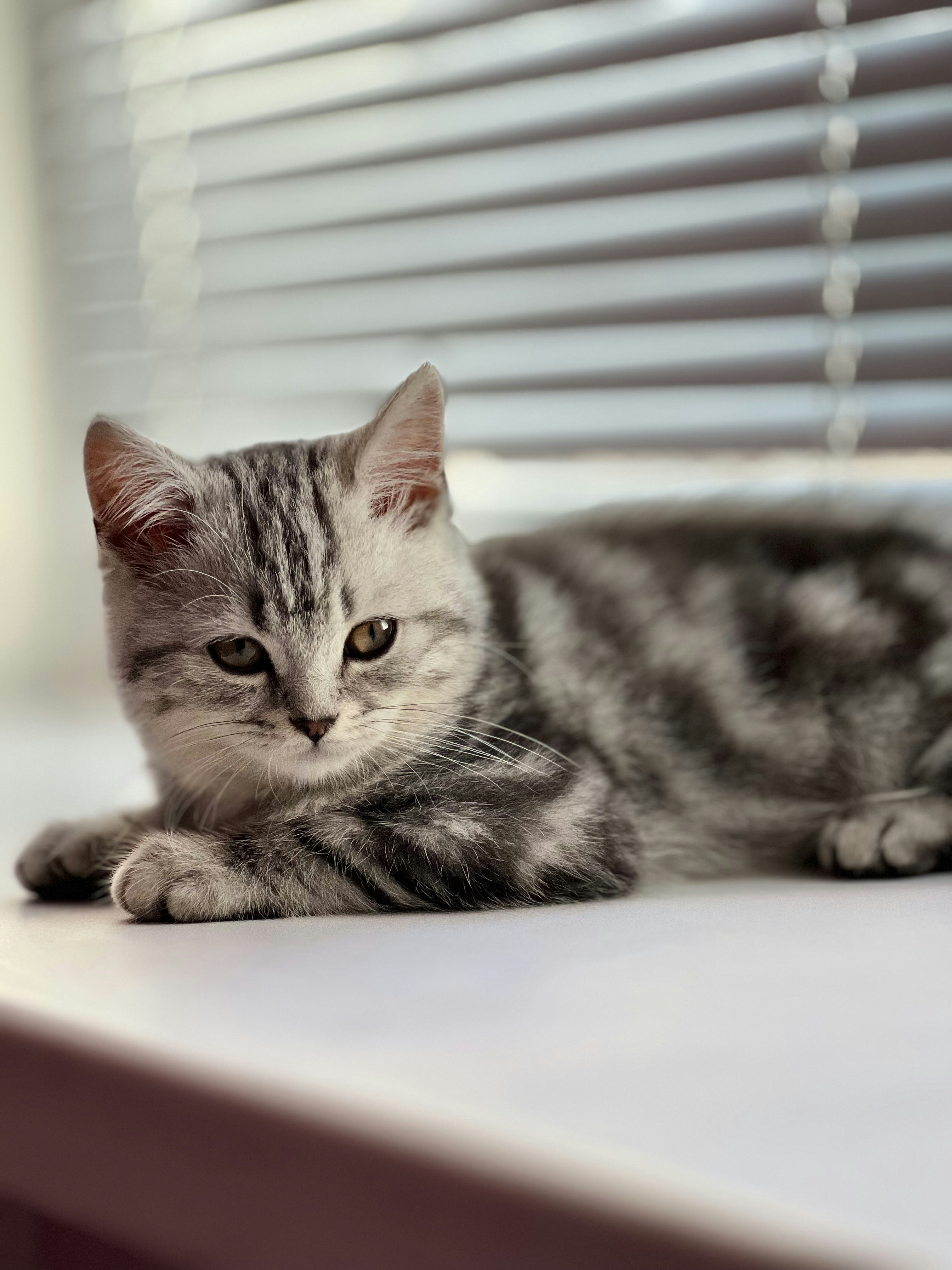 Photo by jackson_lover