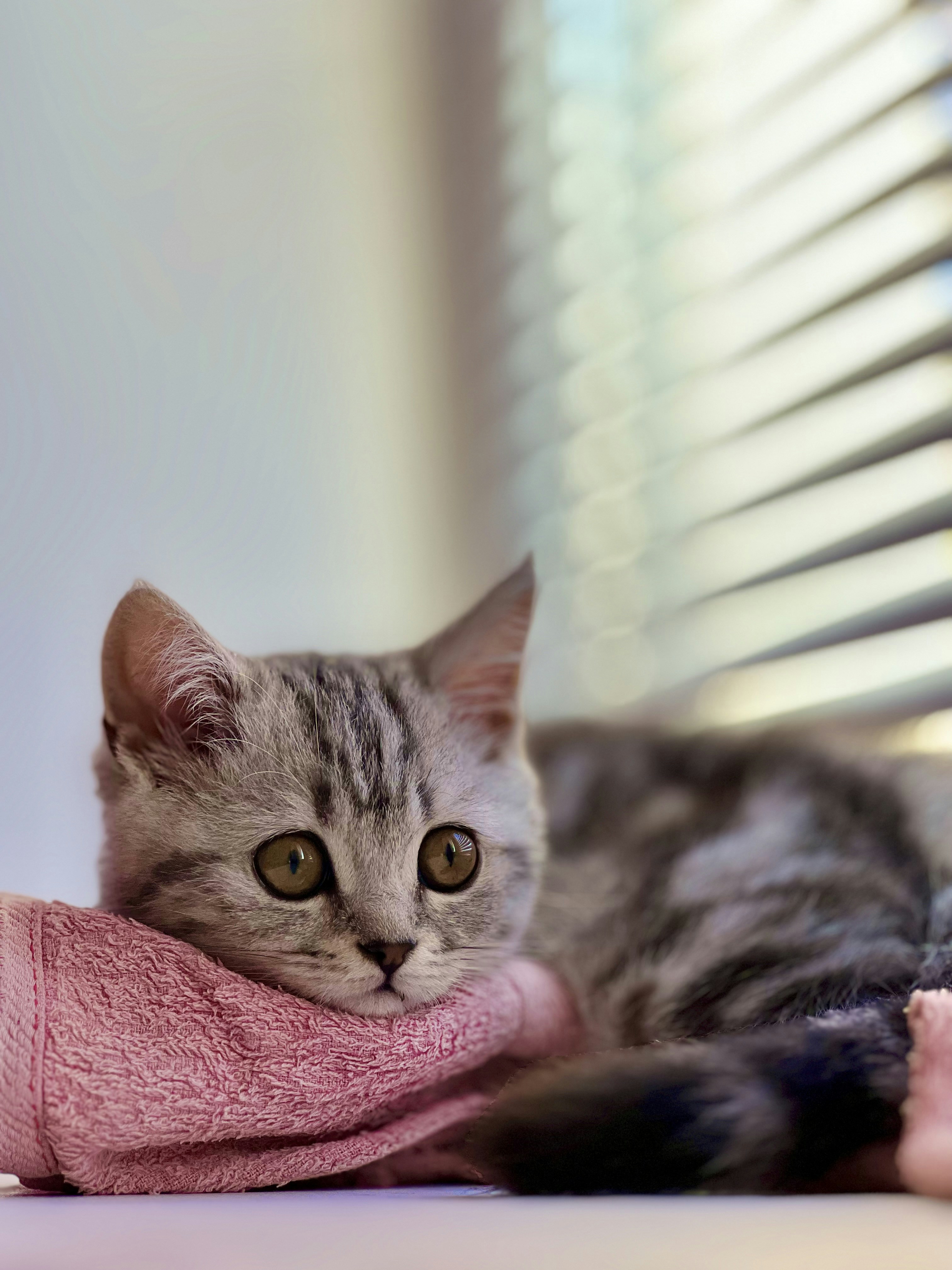 Photo by jackson_lover