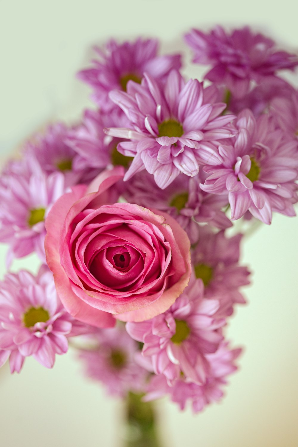 a vase filled with pink flowers on top of a table