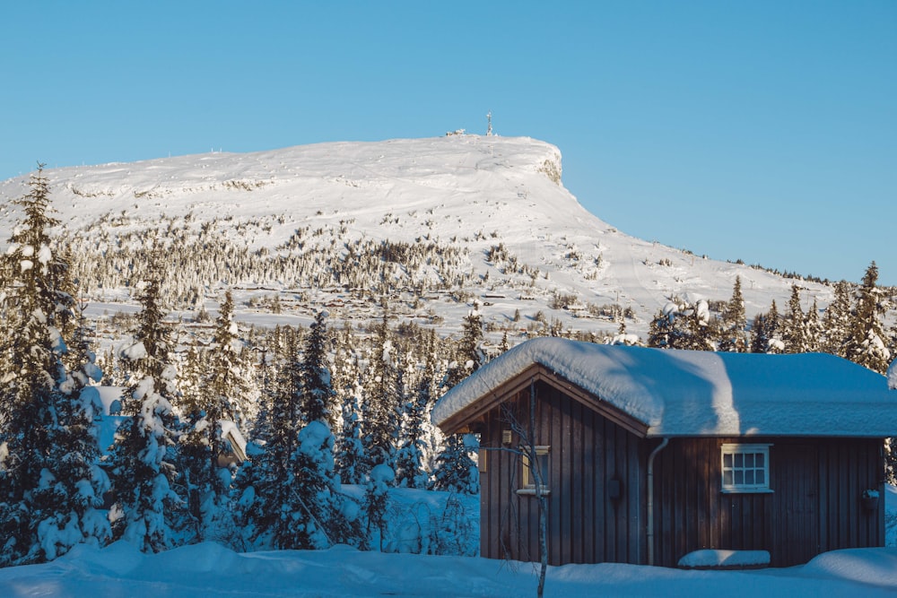 a cabin in the snow with a mountain in the background