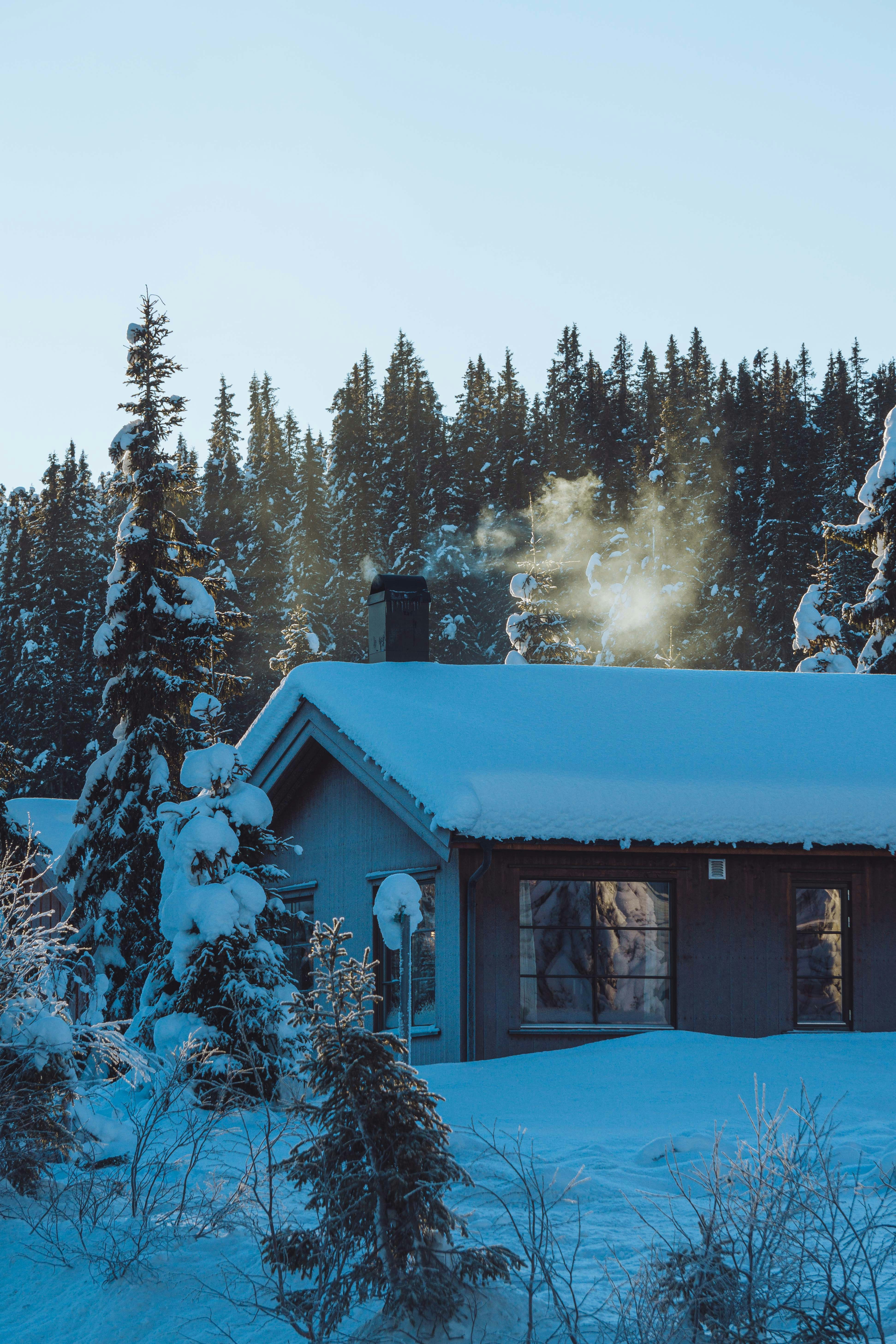 Uma cabana na floresta coberta de neve foto – Imagem grátis sobre Papel de  parede na Unsplash, image size:3000x4500