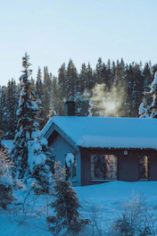 A warm cabin glowing softly at dusk surrounded by tall pine trees and a gentle deer peeking nearby.