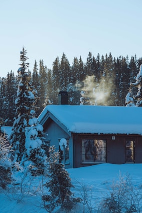 A rustic cabin nestled among tall pine trees with smoke curling from the chimney on a crisp morning.