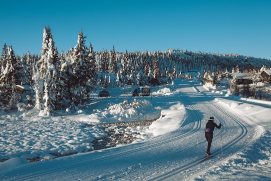 A serene winter landscape featuring a person cross-country skiing on a groomed snow trail. The scene is surrounded by snow-covered pine trees and a clear, blue sky overhead. Small cabins and more wooded areas are visible in the background, adding depth to the peaceful, mountainous environment.