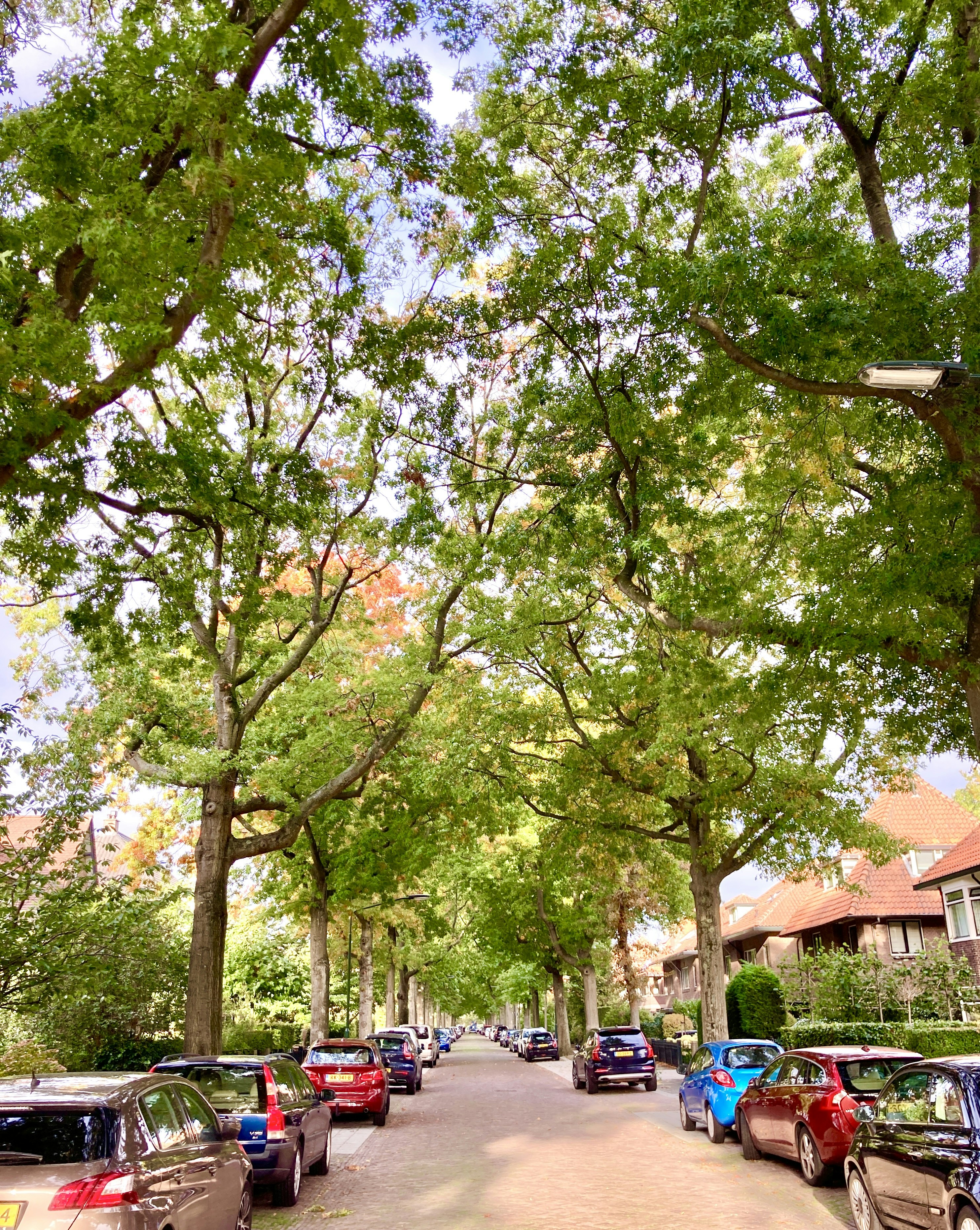 Photo by reinasekihara