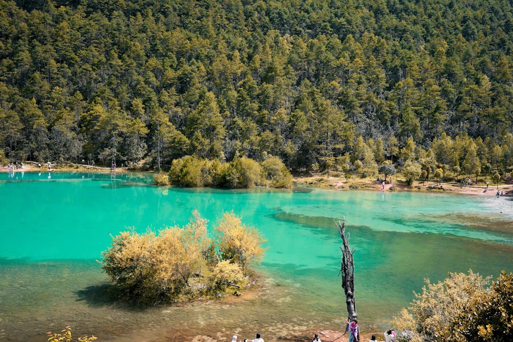 a group of people standing on the shore of a lake