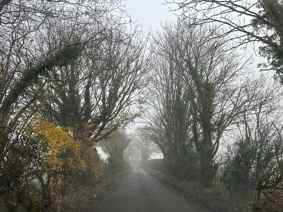 Foggy morning county hike near Castle Combe Village, North Wiltshire, UK – best Castle Combe walks –  Photo by zeynep elif ozdemir | Castle Combe England