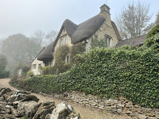 A quaint stone cottage with a thatched roof is surrounded by lush greenery and ivy-covered walls. A stone wall lines the pathway leading to the house, and the setting is enveloped by misty weather, adding a serene and mystical feel. Trees with bare branches are visible in the background, suggesting early morning or a chilly season.