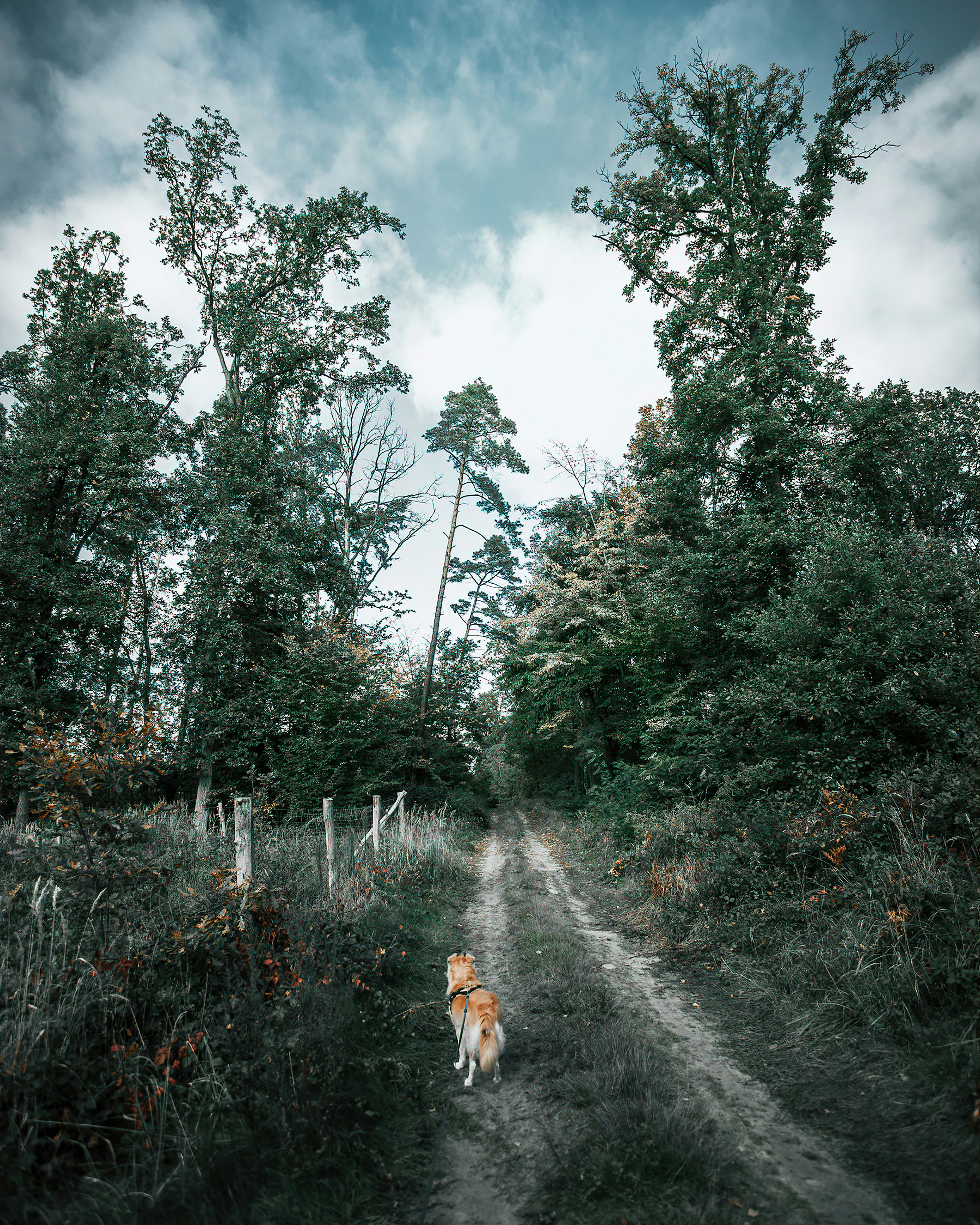 gray computer monitor