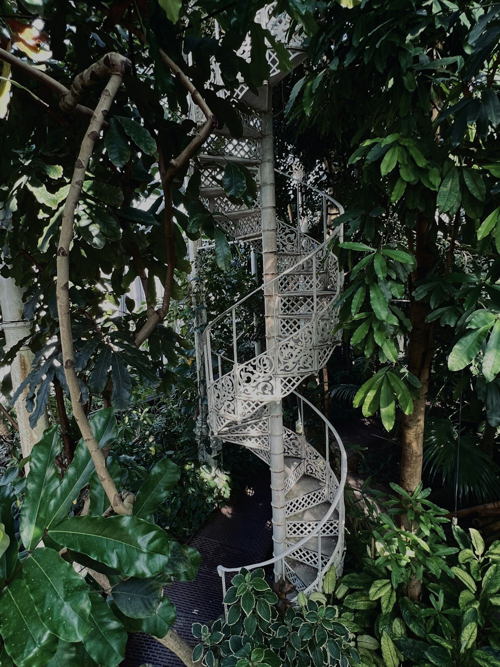 a spiral staircase in the middle of a forest