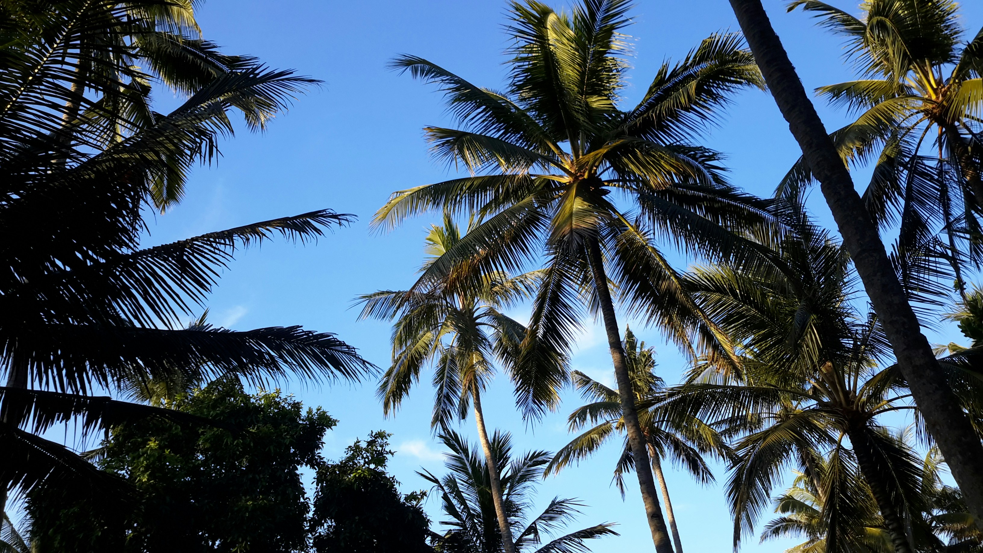 Photo by mheilijgers