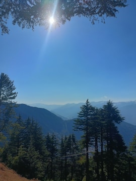Sunlight streaming through mountain trees over a serene sanctuary.