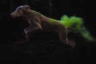 A dog is gracefully leaping through a dimly lit forest. A vibrant green smoke or powder trails from its back, creating a mystical and dynamic effect against the dark surroundings.