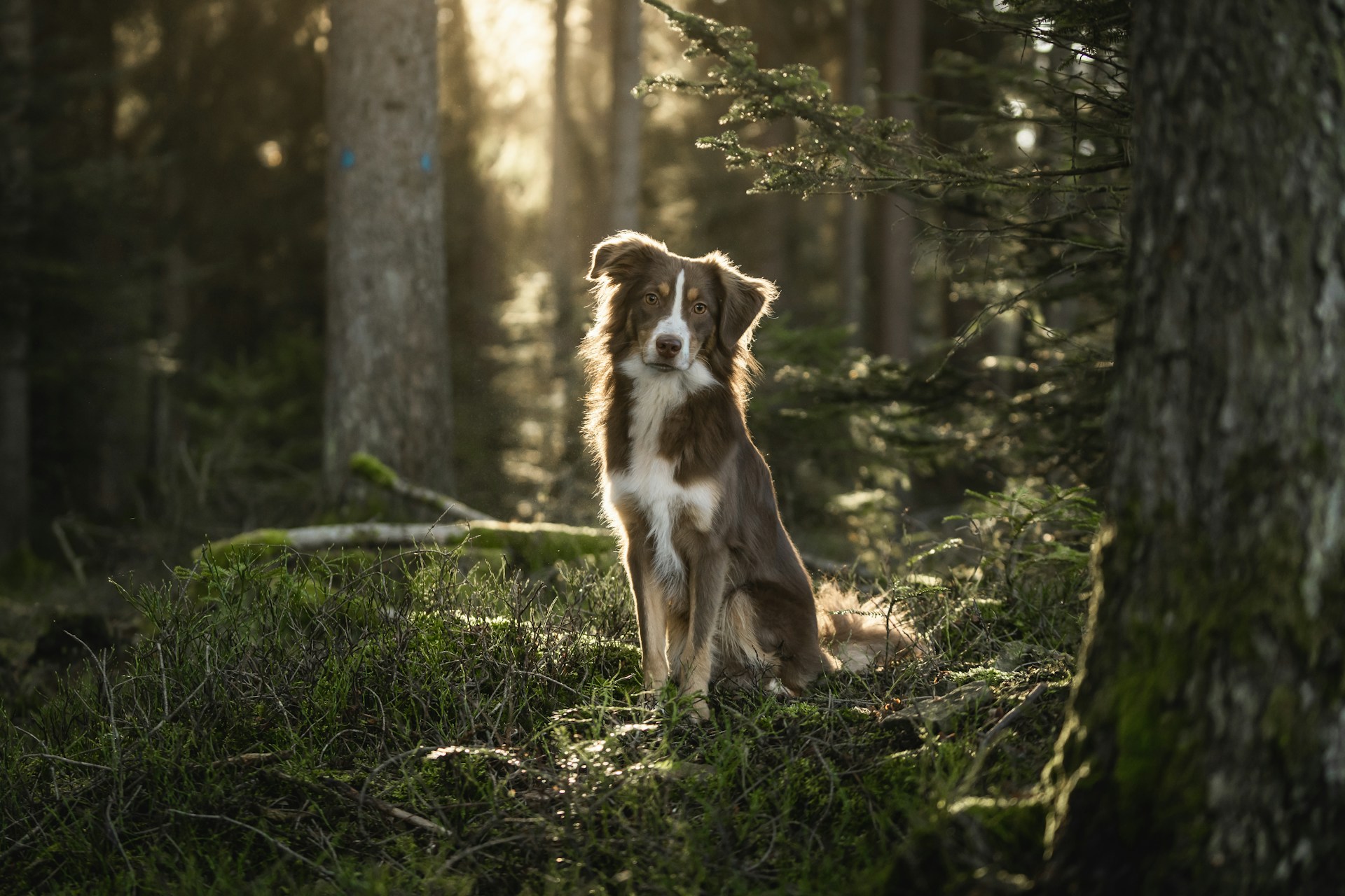 woman holding dried flower