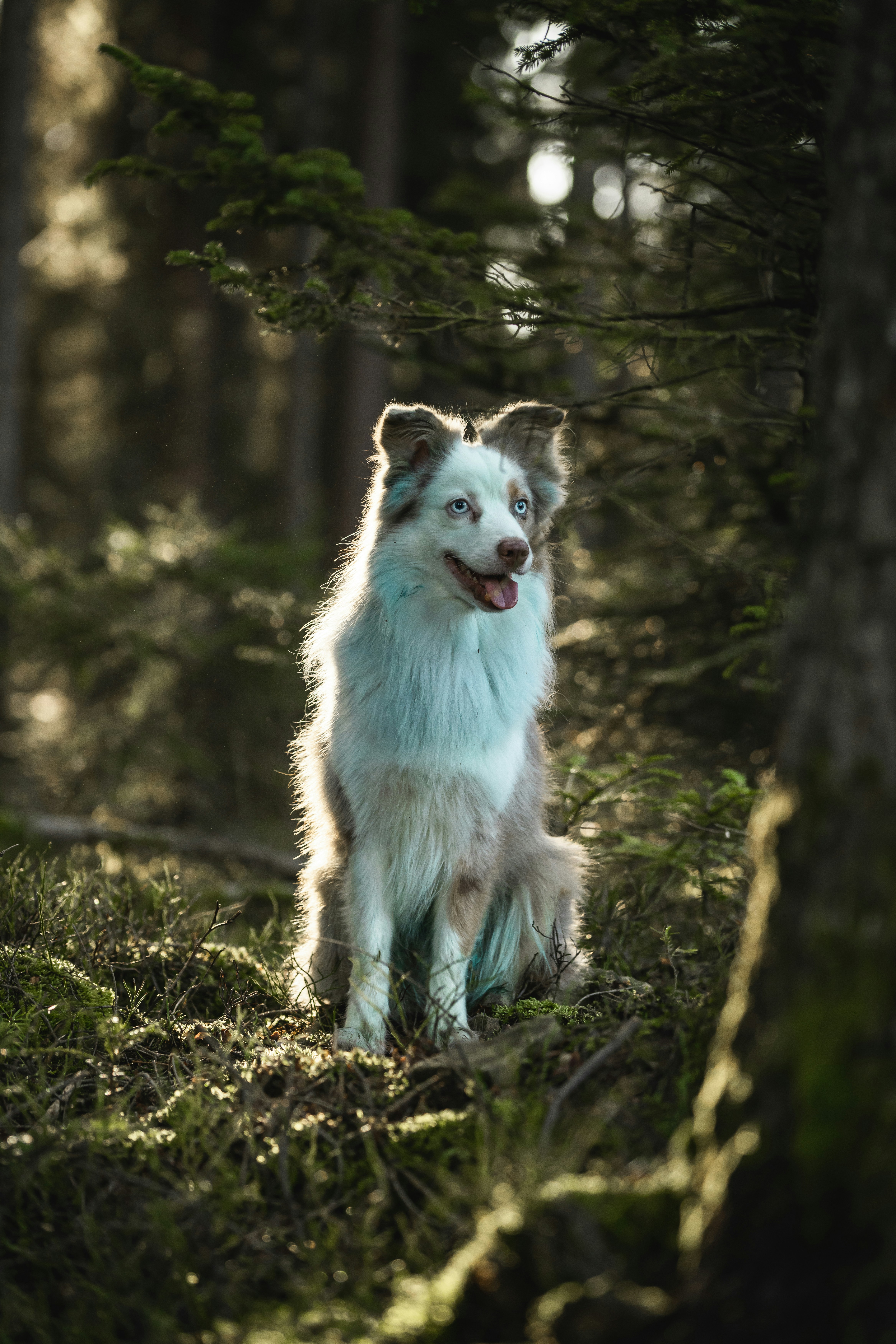 Photo by dominik_kempf
