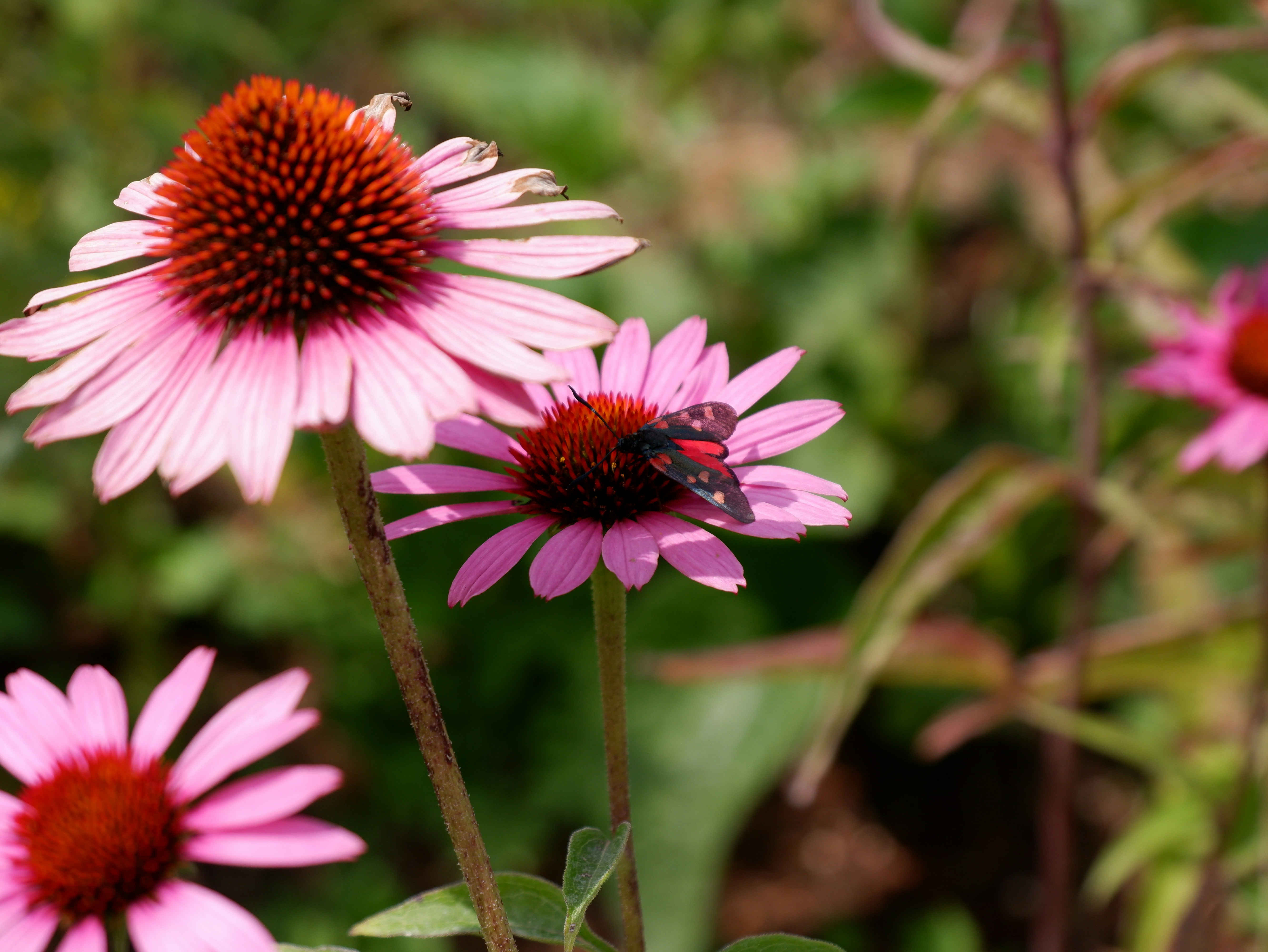 Photo by letizia_arvedi