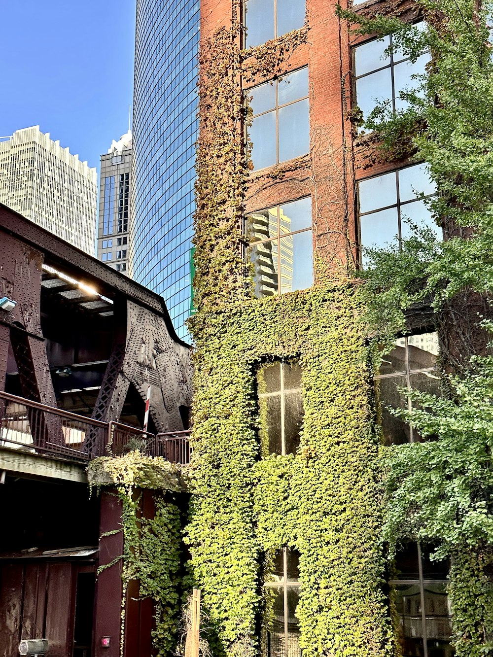 a tall building covered in vines next to a tall building