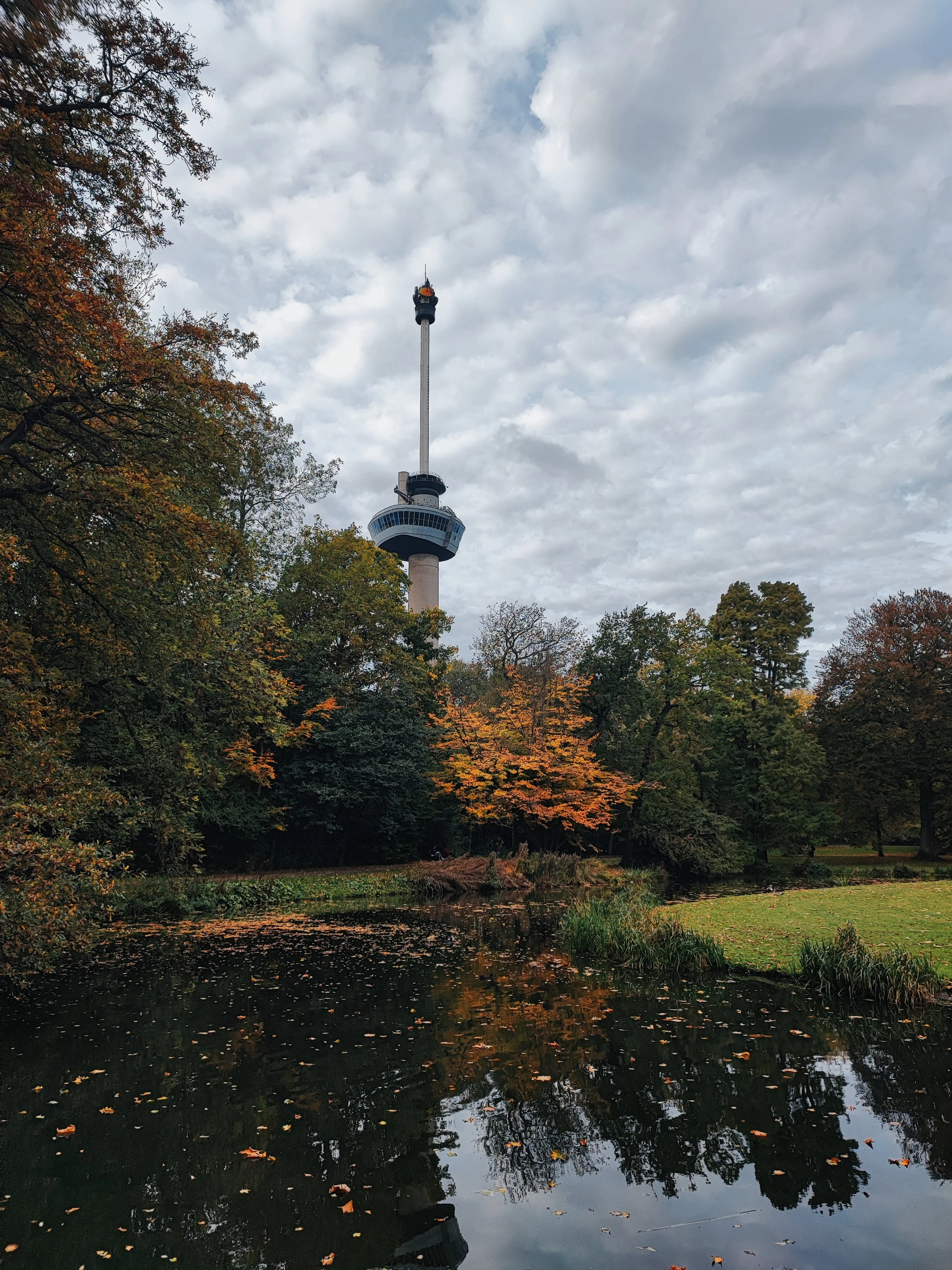 The Euromast tower rising above copper and gold autumn trees in Het Park, Rotterdam, mirrored with drifting fallen leaves in the still pond below under a broken grey sky.