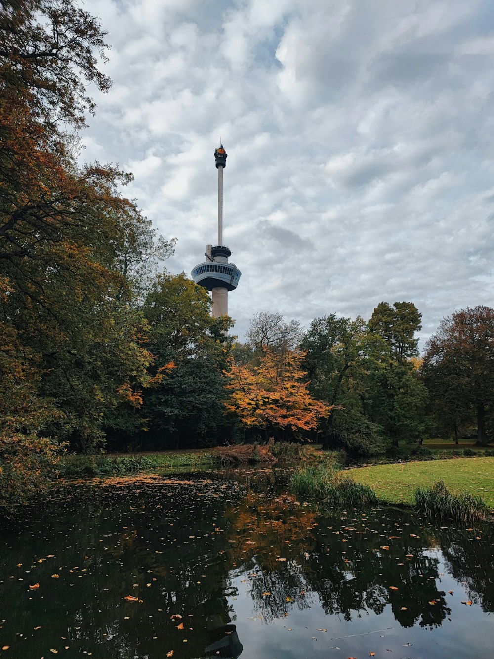 a pond in a park with a tower in the background