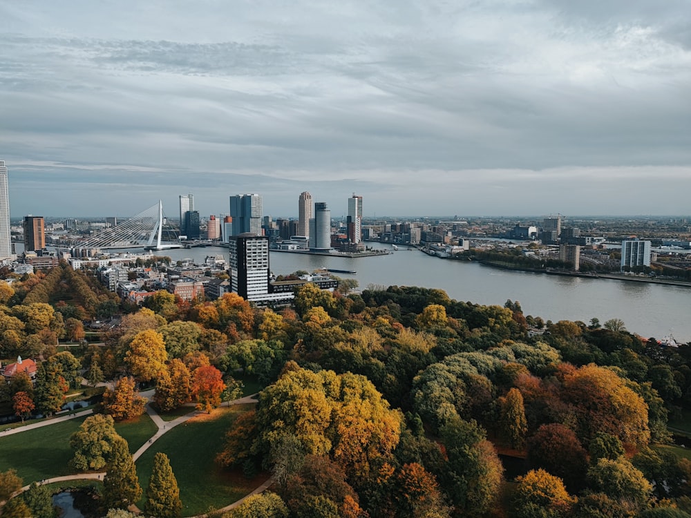 an aerial view of a city and a river