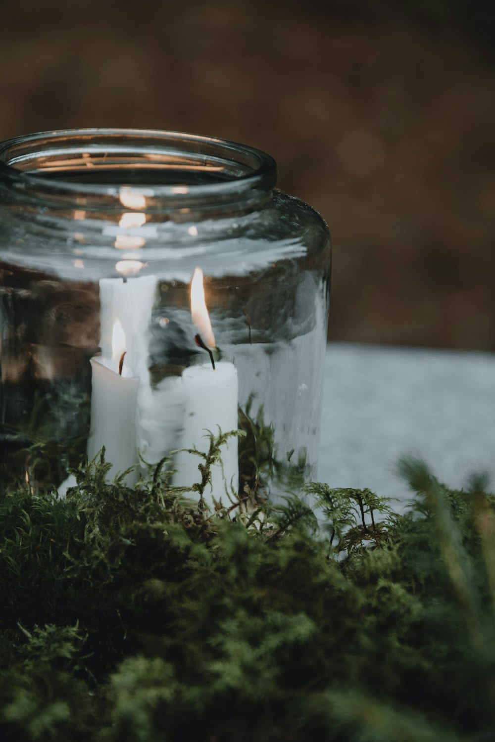 a glass jar filled with candles sitting on top of a moss covered ground