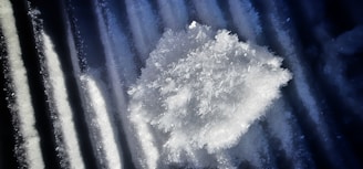 An intricate cluster of ice crystals sits atop a dark, ribbed surface, with detailed snowflake structures visible.