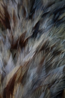 Close-up of Feather Land’s jacket fabric showing detailed stitching and texture in natural light.