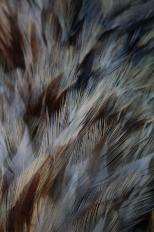 Close-up of Feather Land’s jacket fabric showing detailed stitching and texture in natural light.
