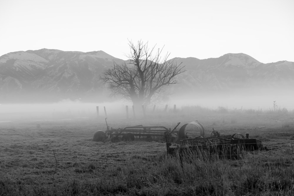 a black and white photo of a field with mountains in the background