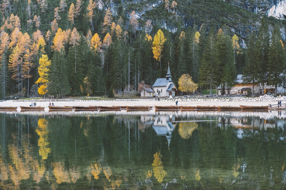 a house on a lake surrounded by trees