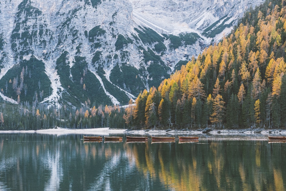 a group of canoes sitting on top of a lake