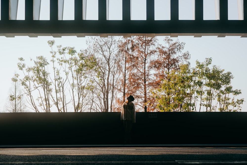 a person standing in front of a window with trees in the background