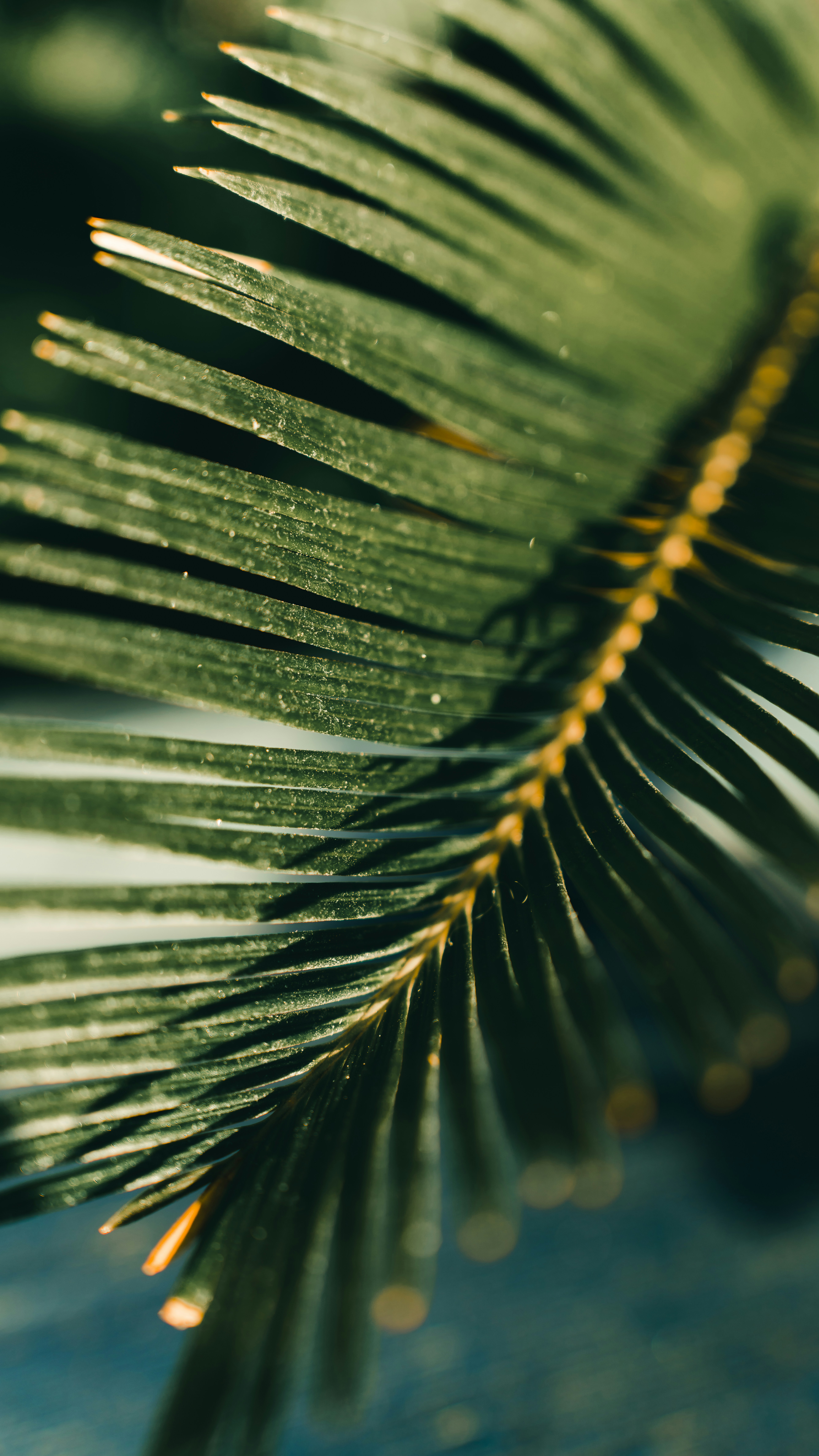 Photo by ryosuke_nasu