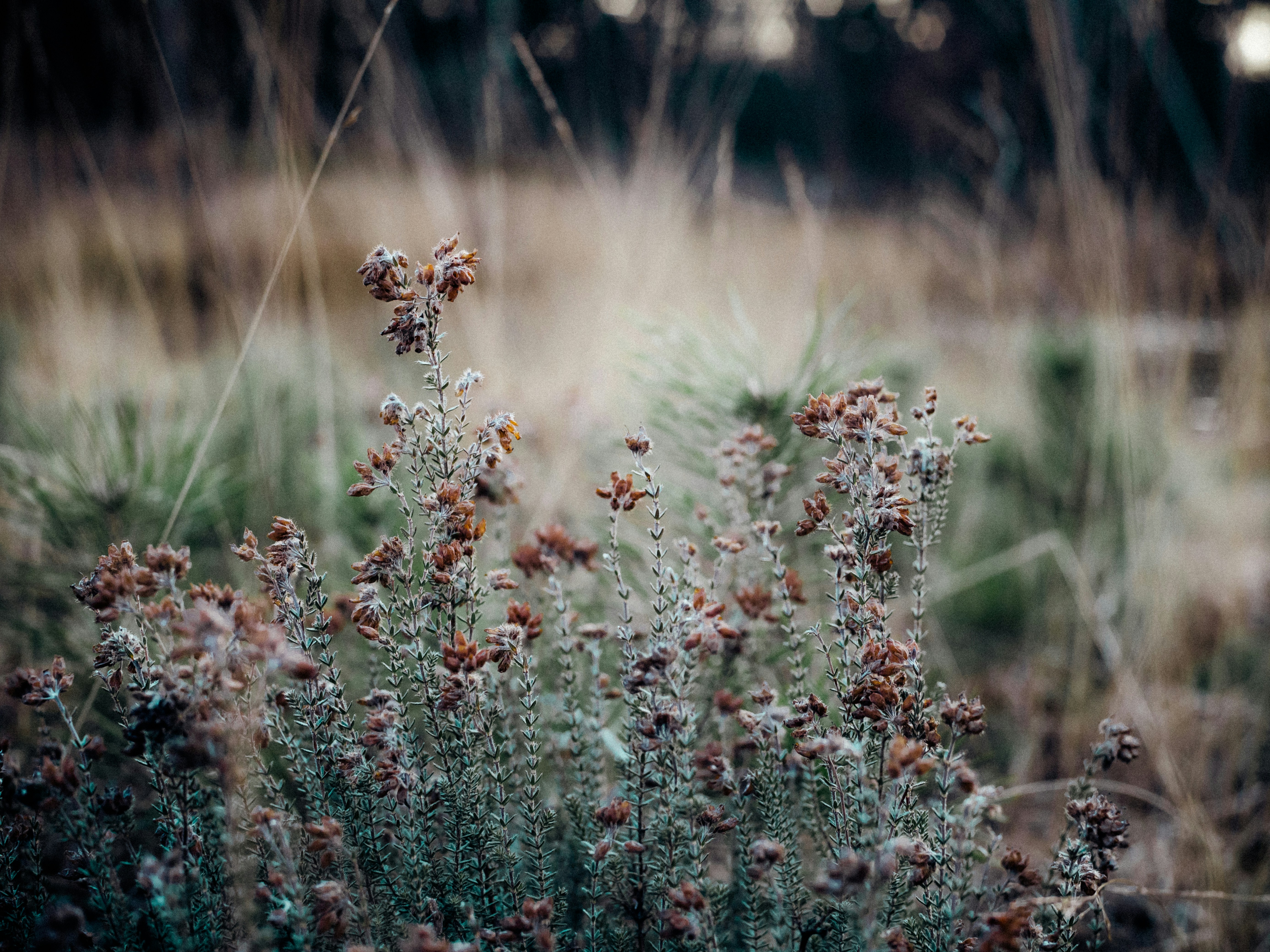 Photo by rwijnheijmer