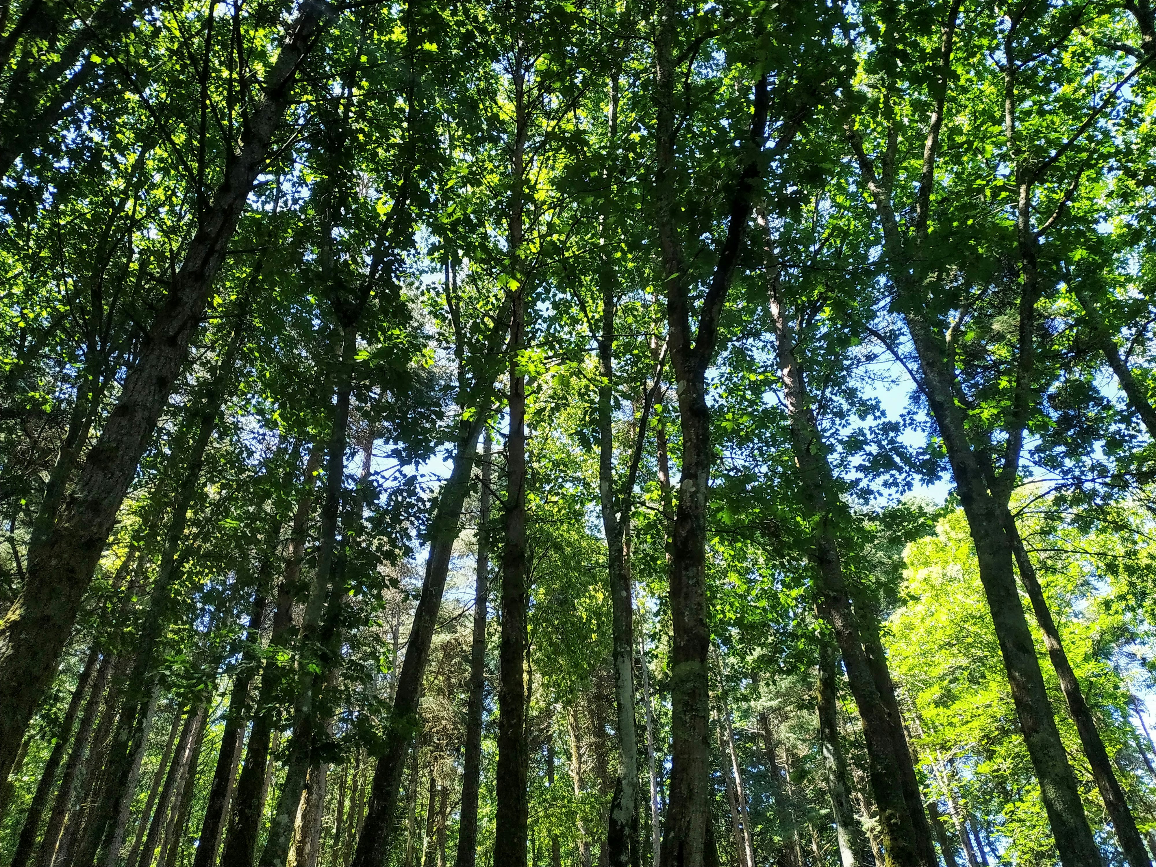 Photo by matilde_silva