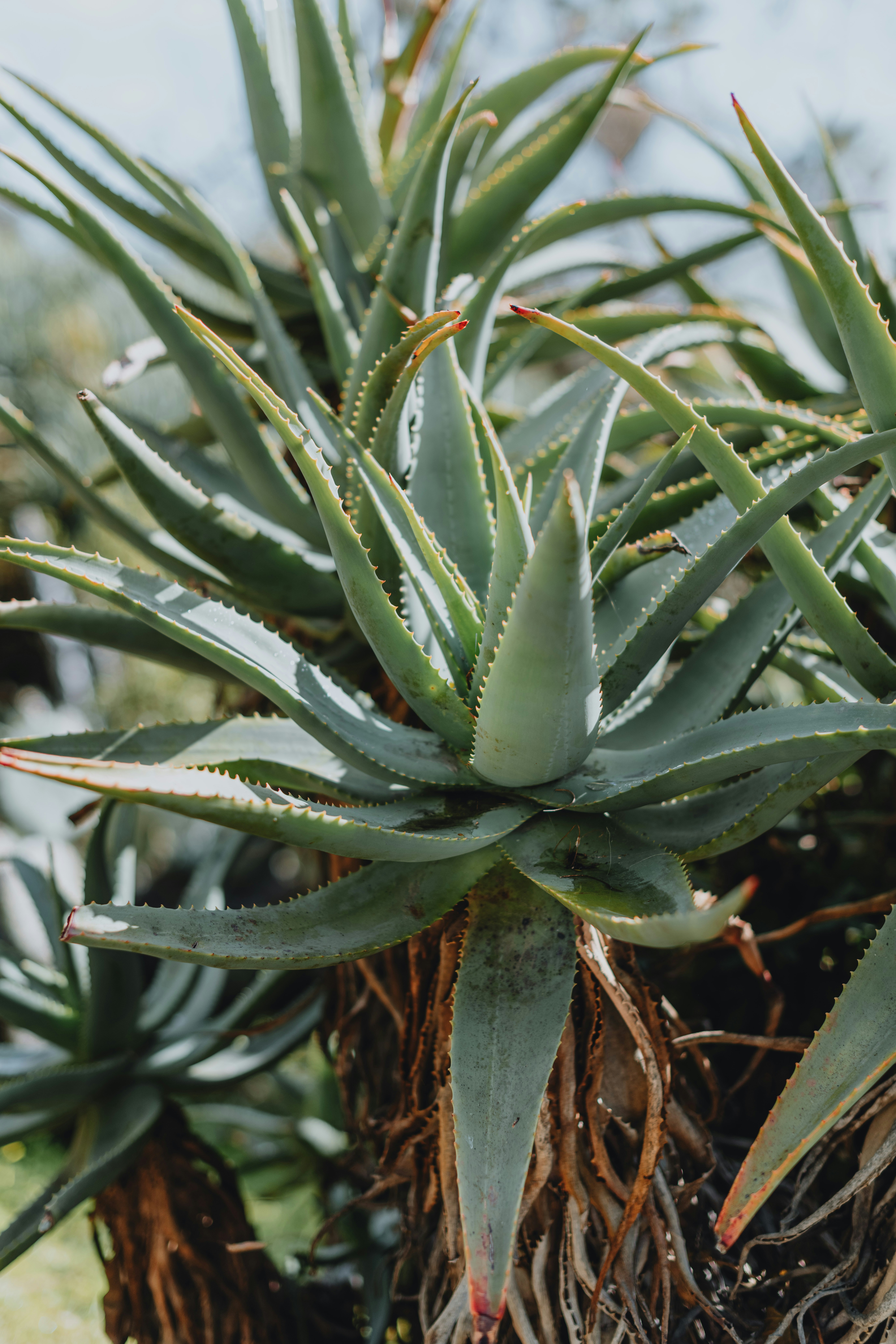 Photo by anitaaustvika