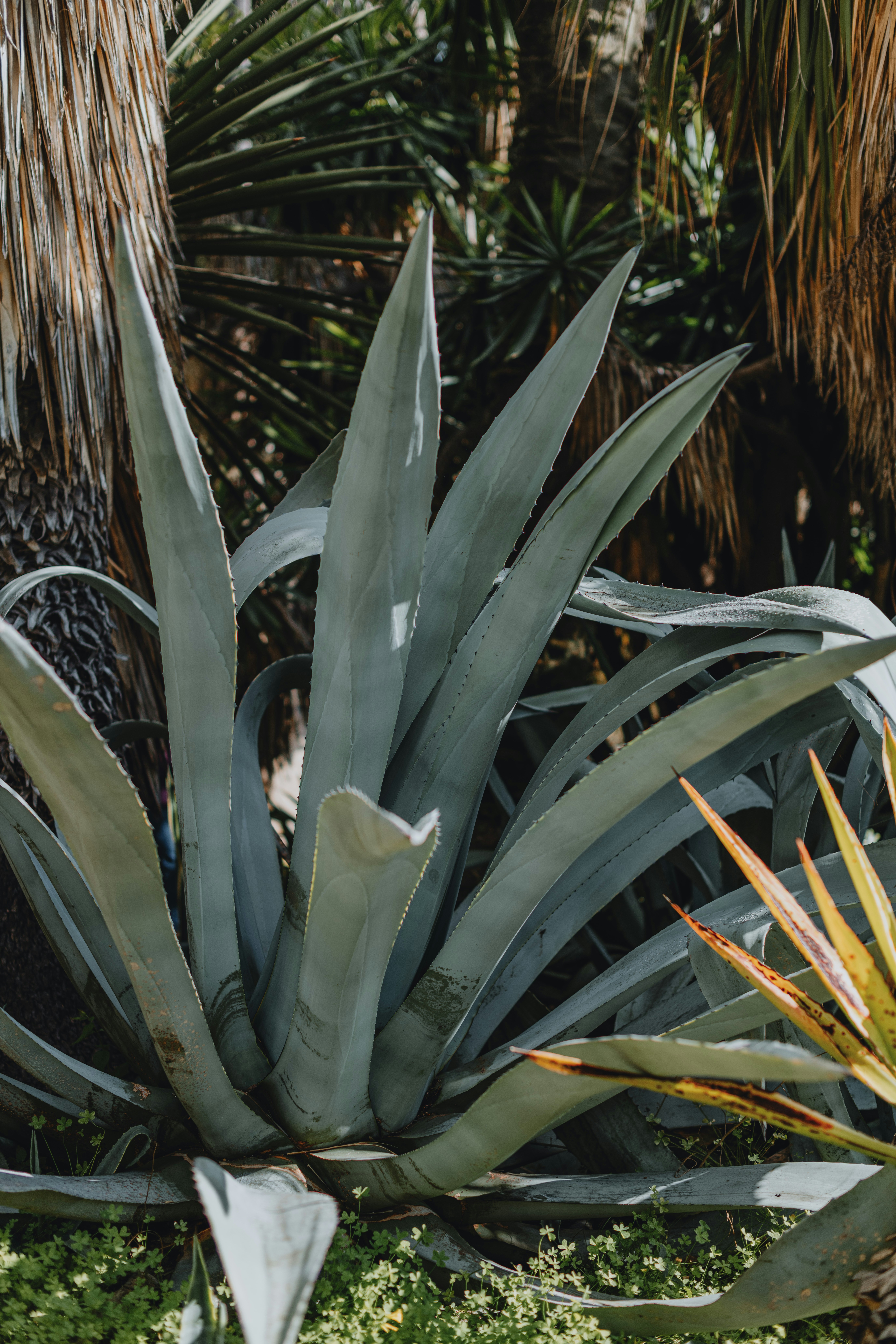 Photo by anitaaustvika