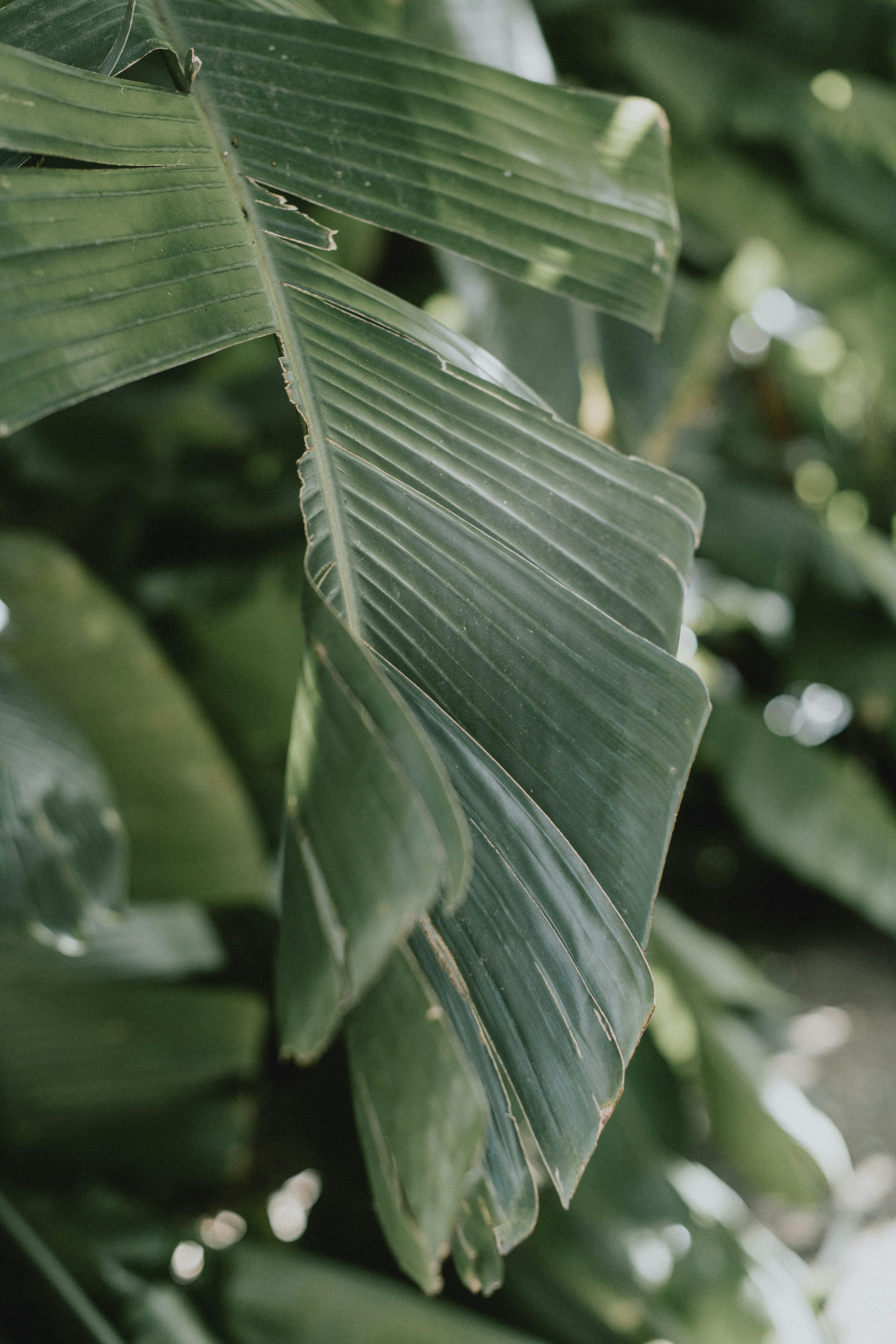 Photo by anitaaustvika