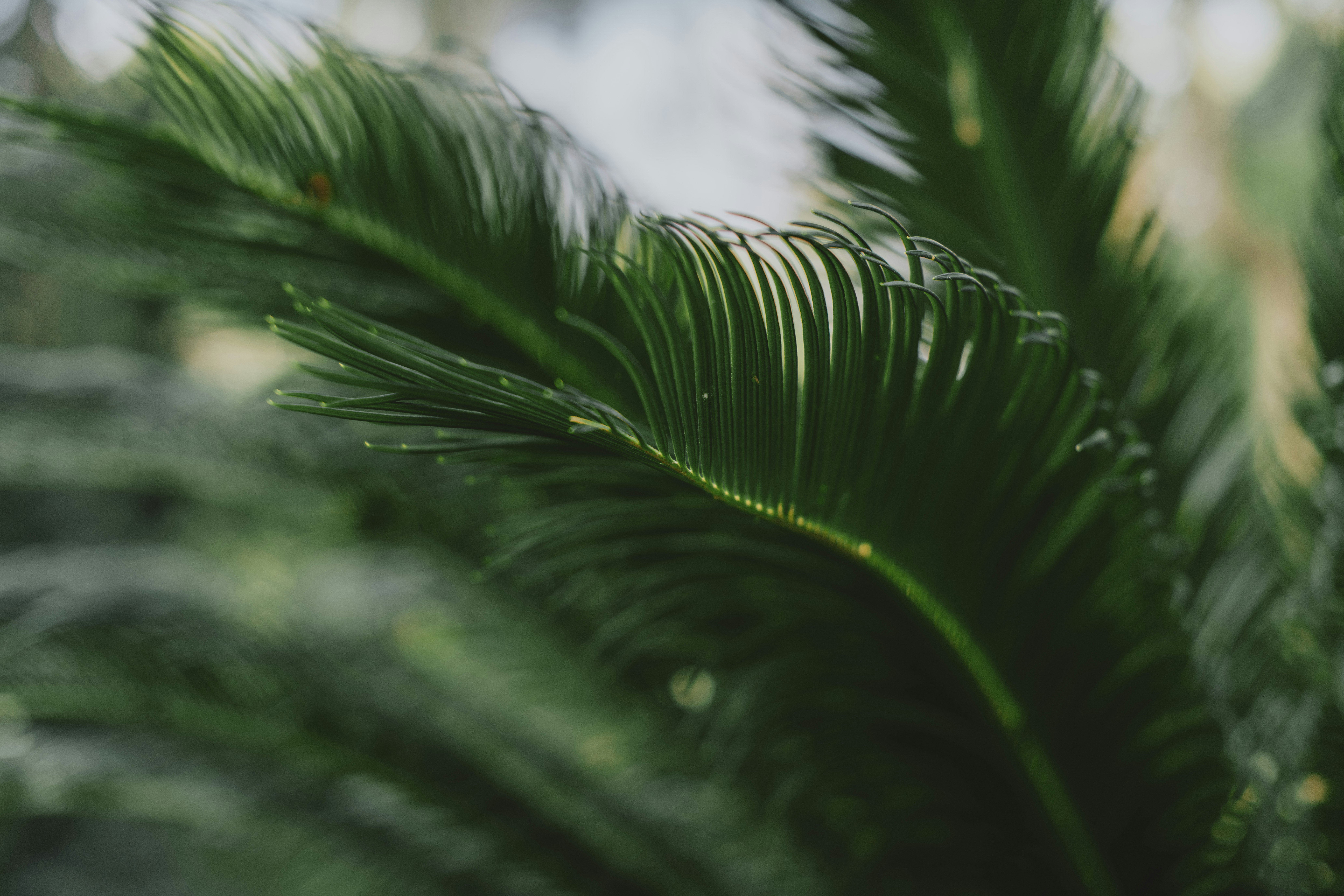 Photo by anitaaustvika