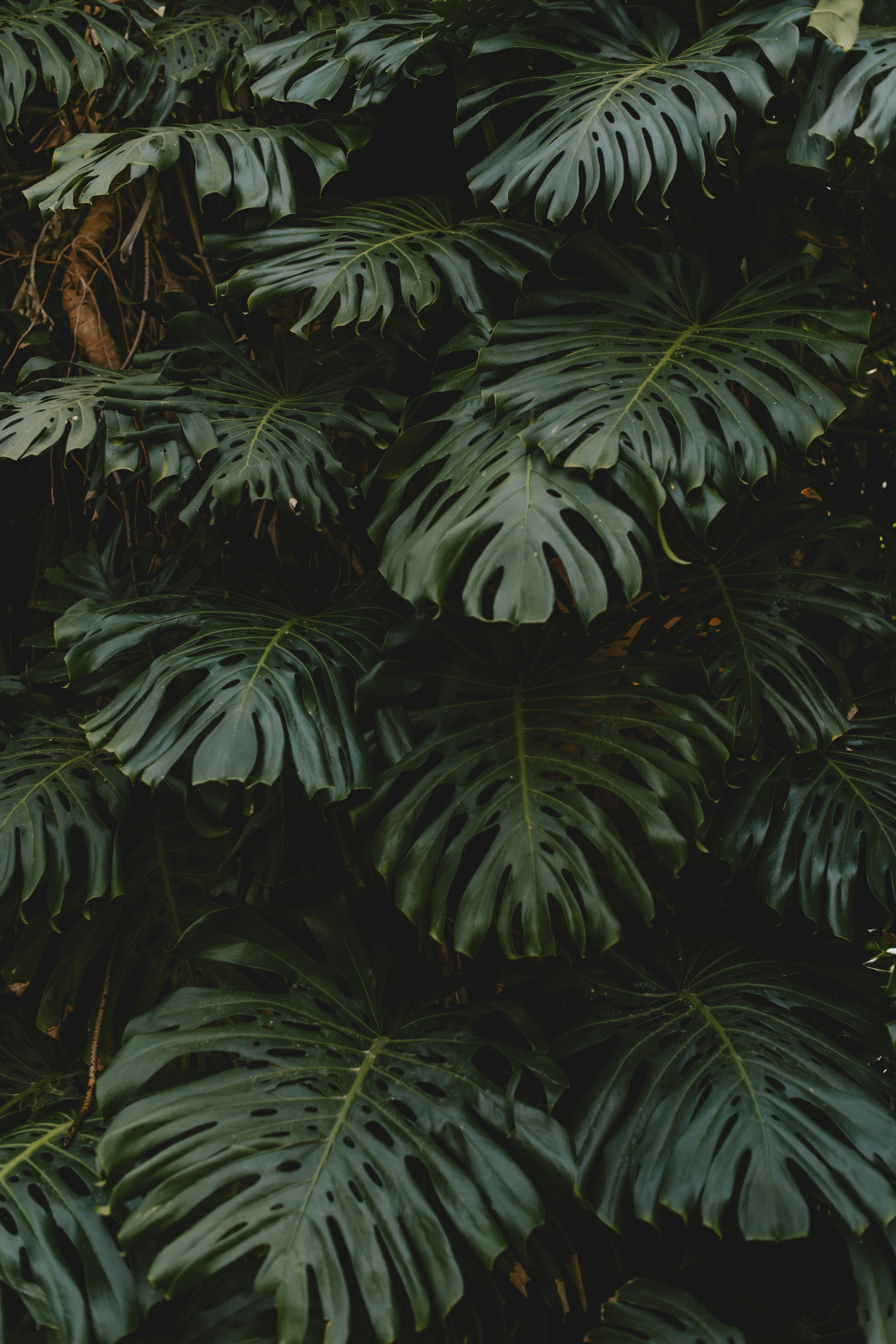 Photo by anitaaustvika